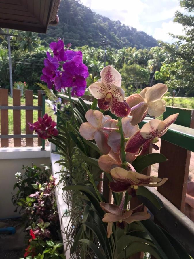 Orchid Pool -Villa 4 Bedrooms Ko Lanta Zewnętrze zdjęcie